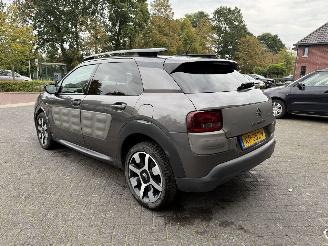 Citroën C4 cactus 1.2 PureTech One-Tone (SUV 5-dr.) picture 3