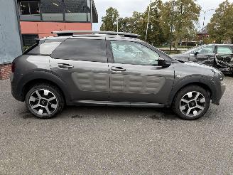 Citroën C4 cactus 1.2 PureTech One-Tone (SUV 5-dr.) picture 6