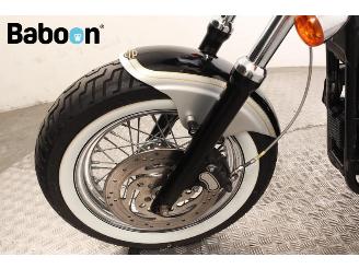 Harley-Davidson XL 1200 C Sportster picture 18