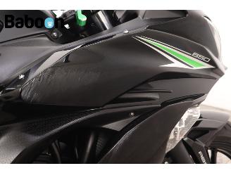 Kawasaki Ninja 650 ABS picture 12