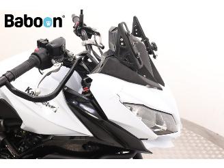 Kawasaki Versys 650 ABS picture 13
