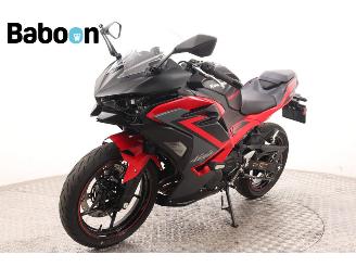 Kawasaki Ninja 500 SE  picture 4
