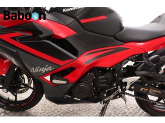 Kawasaki Ninja 500 SE  picture 17