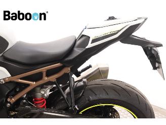 BMW S 1000 R ABS picture 21