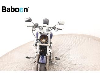 Harley-Davidson XL 1200 C Sportster picture 18