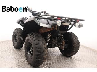 Yamaha Grizzly 700  picture 6
