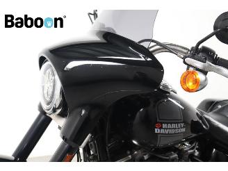 Harley-Davidson  FLSB Sport Glide picture 21