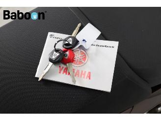 Yamaha FJR 1300 AE picture 19