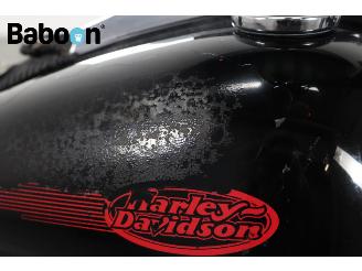 Harley-Davidson  FXSTC Softail Custom picture 11