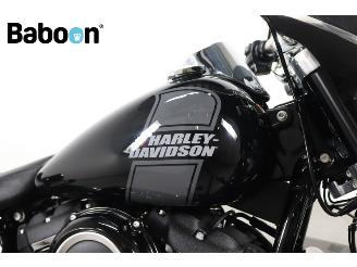 Harley-Davidson  FLSB Sport Glide picture 10