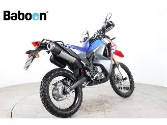 Honda  CRF 300 Rally picture 8