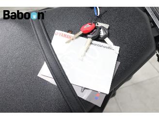 Yamaha MT-09 ABS picture 23