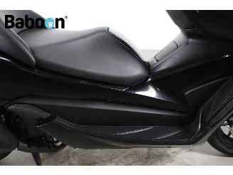 Honda  Forza 300 C-ABS picture 12