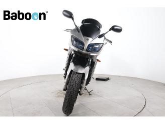 Yamaha FZS 1000 Fazer picture 3