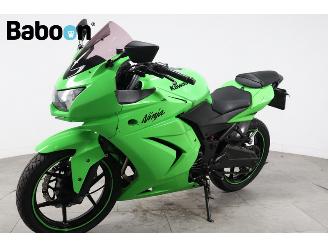 Kawasaki Ninja 250 R  picture 6