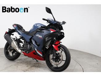 Kawasaki Ninja 500 SE  picture 8
