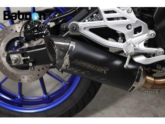 Yamaha  YZF-R 125 picture 12