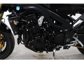 Triumph Speed Triple 1050 picture 20