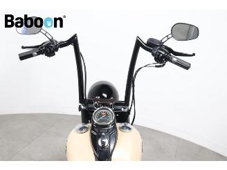 Harley-Davidson  FLS Softail Slim picture 15