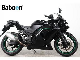 Schade motor Kawasaki Ninja 250 R  2010/1