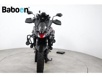 Suzuki DL 650 V-Strom ABS picture 7