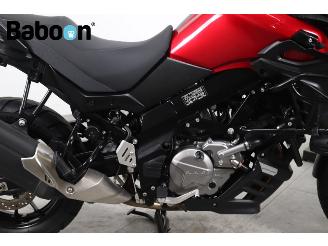 Suzuki DL 650 V-Strom ABS picture 12