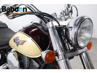 Kawasaki VN 800 Vulcan Classic picture 15