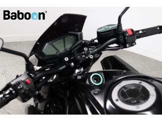 Kawasaki Z 800 ABS e-version picture 12
