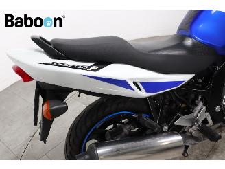 Suzuki GS 500 F picture 23