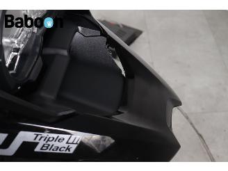 BMW R 1250 GS Triple Black picture 12