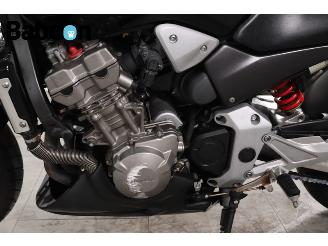 Honda CB 900 F Hornet picture 19