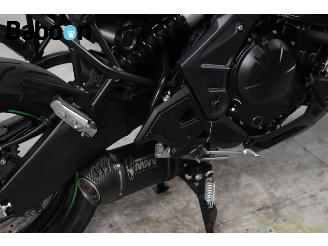 Kawasaki Versys 650 ABS picture 15