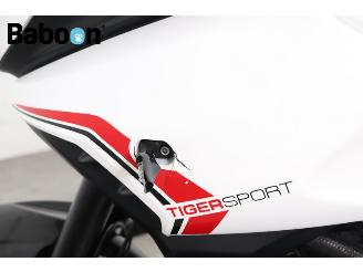 Triumph Tiger 1050 Sport ABS picture 20