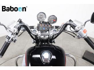 Honda  VT 800 C Shadow picture 18