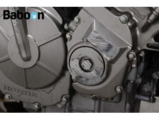 Honda CB 600 F Hornet picture 20