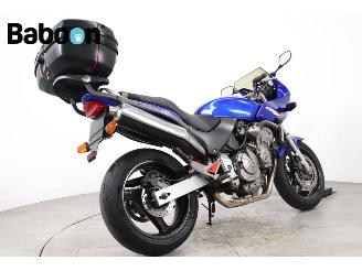 Honda CB 600 F Hornet picture 8