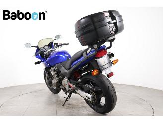 Honda CB 600 F Hornet picture 6