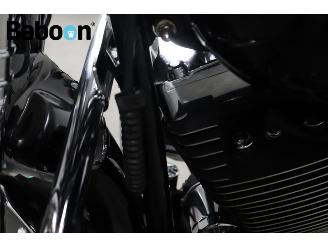 Harley-Davidson  FLSTS Heritage Springer picture 23