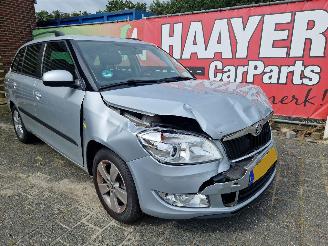 Auto incidentate Skoda Fabia 1.2 tsi fresh 2013/4