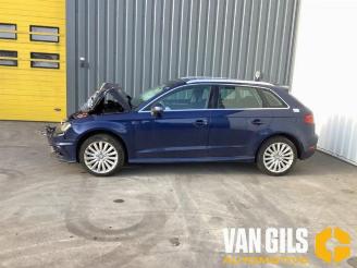 Audi A3 A3 Sportback (8VA/8VF), Hatchback 5-drs, 2012 / 2020 1.4 TFSI 16V e-tron picture 9