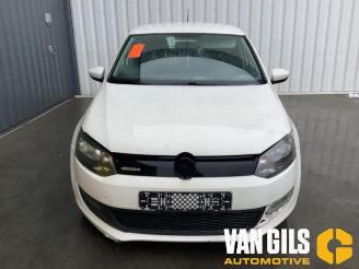 Volkswagen Polo Polo V (6R), Hatchback, 2009 / 2017 1.2 TDI 12V BlueMotion picture 3
