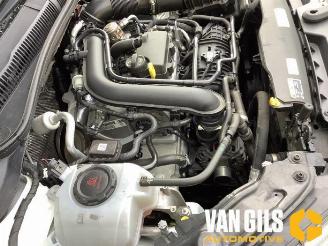 Volkswagen Taigo Taigo, SUV, 2021 1.0 TSI 110 12V picture 8
