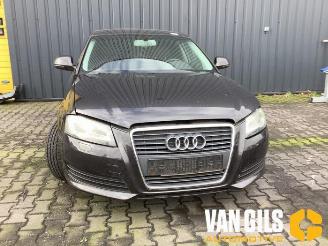 Audi A3 A3 Sportback (8PA), Hatchback 5-drs, 2004 / 2013 1.4 TFSI 16V picture 8