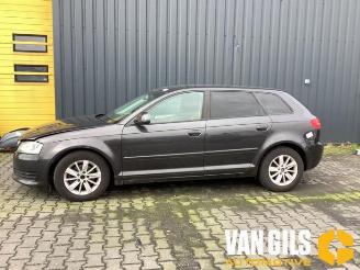 Audi A3 A3 Sportback (8PA), Hatchback 5-drs, 2004 / 2013 1.4 TFSI 16V picture 7
