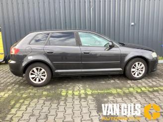 Audi A3 A3 Sportback (8PA), Hatchback 5-drs, 2004 / 2013 1.4 TFSI 16V picture 11
