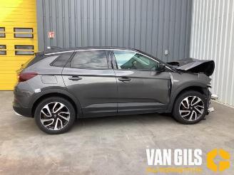 Opel Grandland Grandland (X), SUV, 2017 1.2 Turbo 12V 2019/3