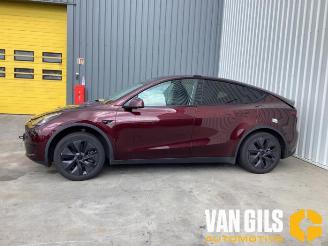 škoda osobní automobily Tesla Model Y Model Y (5YJY), SUV, 2019 / 2025 Long Range RWD 2024/12
