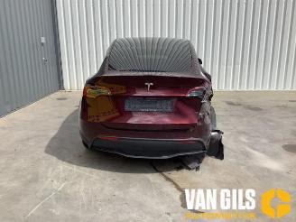 Tesla Model Y Model Y (5YJY), SUV, 2019 / 2025 Long Range RWD picture 7