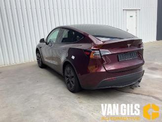 Tesla Model Y Model Y (5YJY), SUV, 2019 / 2025 Long Range RWD picture 9