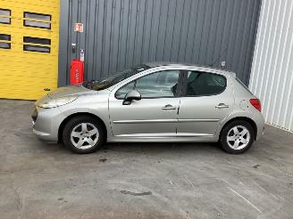 Unfallwagen Peugeot 207/207+ 1.4 Benzine 2007/6